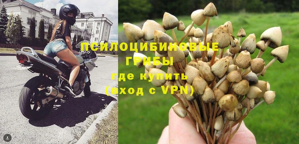 крисы Абинск